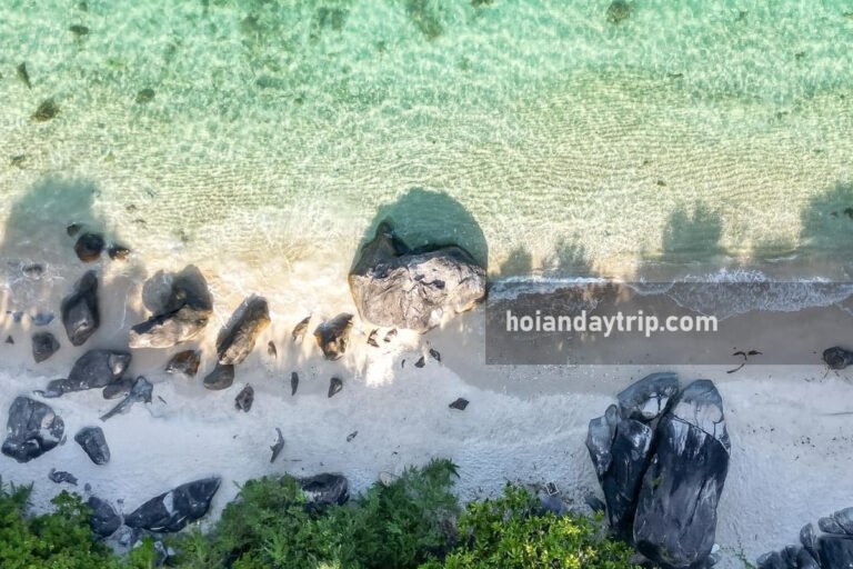 How To Get To Cham Island From Da Nang Hoi An how-to-get-to-cham-island-from-da-nang-hoi-an