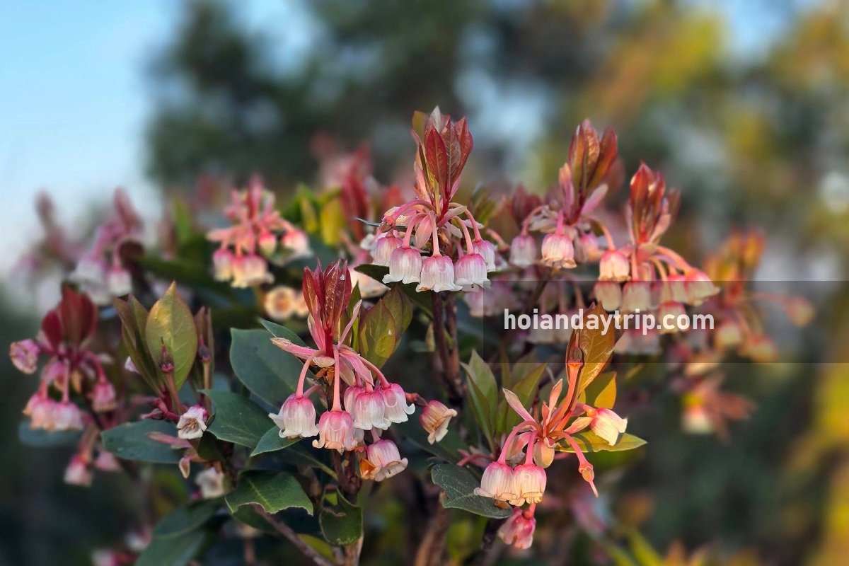 huyen khong cave marble mountains da nang vietnam